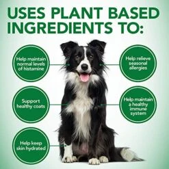 Vet's Best Healthy Coat Shed & Itch Relief Dog Supplements | Relieve Dogs Skin Irritation And Shedding Due To Seasonal Allergies Or Dermatitis | 150 Chewable Tablets, White, 150 Count (Pack Of 1) -Zoo Shop 51HTeXQduPL