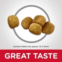 Hill's Science Diet Dry Cat Food, Adult, Oral Care, Chicken Recipe, 7 Lb. Bag -Zoo Shop 51Ht0ic9EgL