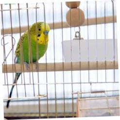 EVANEM Pigeon Automatic Trough Auto Feeder In Window Bird Feeder Parakeet Feeder No Parrot Feeder Pigeon Feed Cup Bird Feeder For Cage Bird Cage Feeding Trough Cage Bird Feeder Pet 10pcs 14 EVANEM Pigeon Automatic Trough Auto Feeder In Window Bird Feeder Parakeet Feeder No Parrot Feeder Pigeon Feed Cup Bird Feeder For Cage Bird Cage Feeding Trough Cage Bird Feeder Pet 10pcs -Zoo Shop 51IDjHeApTL