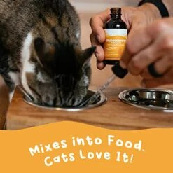 100% Natural Glucosamine For Cats - Msm Arthritis Pain Relief For Cats - Cat Hip And Joint Supplement Liquid - 260mg Glucosamine Chondroitin For Cats