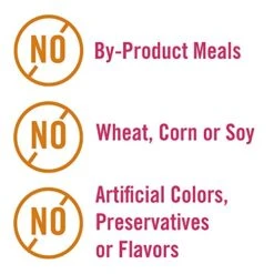 Chicken Soup For The Soul Small Bites Dog Food, Chicken, Turkey & Brown Rice Recipe, 4.5 Lb. Bag | Soy Free, Corn Free, Wheat Free | Dry Dog Food Made With Real Ingredients -Zoo Shop 51IhMk96t0L