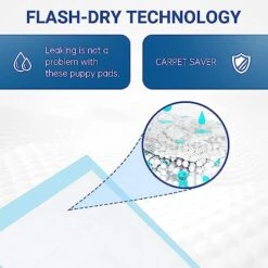 Aiimll Ultra Absorbent Dog Pee Pads Extra Large Thicken 6 Layers For Puppy Training, 24"X35", 20 Count -Zoo Shop 51Iji0v80rL