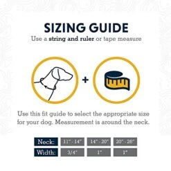 Ruffwear, Front Range Dog Collar, Durable And Comfortable Collar For Everyday Use, Aurora Teal, 11"-14" -Zoo Shop 51IrJMBT1GL