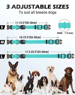 Joytale Light Up Dog Collars Rechargeable, High Visibility LED Dog Collar for Pet Night Walking, 3 Flash Modes, Rainproof PVC Glow Collar Adjustable for Small Medium Large Dogs, Teal, L -Zoo Shop 51IwfWbp0FL