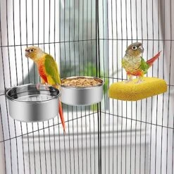 Wontee Pet Food Water Bowl With Clamp Holder Stainless Steel Feeding Cups Feeder For Dog Bird Parrot Cat Rabbit, 2 Packs (M) -Zoo Shop 51IzSJI9VwL