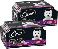 CESAR Soft Wet Dog Food Loaf In Sauce Rotisserie Chicken Flavor With Bacon & Cheese And Filet Mignon Flavor With Bacon & Potato Variety Pack, (24) 3.5 Oz. Easy Peel Trays -Zoo Shop 51J52W94vmL. AC 1