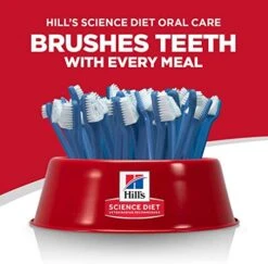 Hill's Science Diet Dry Cat Food, Adult, Oral Care, Chicken Recipe, 7 Lb. Bag -Zoo Shop 51JLMCLVj2L