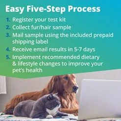5Strands Pet Raw Food Intolerance & Environmental Sensitivity Test, At Home Test For Dogs & Cats, Hair Sample Collection Kit, All Ages And Breed, Results In 7 Days -Zoo Shop 51JMGBc3aNL