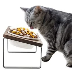 Elevated Cat Bowls, Raised Ceramic Cats Puppy Dishes For Food And Water, Tilted Bamboo Stand For Anti Vomiting, Indoor 5.5 Inch Wide Dish For Whisker Friendly (Iron Stand-Brown, Bowl 5.5in)