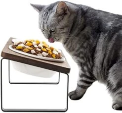 Elevated Cat Bowls, Raised Ceramic Cats Puppy Dishes For Food And Water, Tilted Bamboo Stand For Anti Vomiting, Indoor 5.5 Inch Wide Dish For Whisker Friendly (Iron Stand-Brown, Bowl 5.5in) -Zoo Shop 51Jgoga2jOL. AC