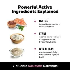 Pet Honesty Cat Multivitamin Chews - Supports Overall Immune Health, Joints, Skin & Coat, And Digestion | Omega 3s, Lysine For Cats, Probiotics, Cat Supplements & Vitamins - Chicken (30-Day Supply) -Zoo Shop 51Jp9GFLIWL