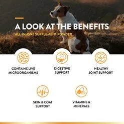 NaturVet All-in-One Dog Supplement - For Joint Support, Digestion, Skin, Coat Care – Dog Multivitamins With Minerals, Omega-3, 6, 9 – Wheat-Free Vitamins For Dogs – 13-Ounce Powder -Zoo Shop 51JwvftUaiL