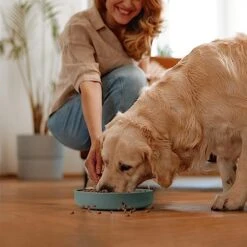 Coomazy Silicone Slow Feeder Dog Bowl(2.5 Cup), Pet Slow Food Bowls For Small Medium Large Breed, Slow Down Pet Eating Speed For Prevent Choking Promote Digestion, Green -Zoo Shop 51KGiZjjniL