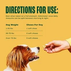 Furtify Probiotics For Dogs | Gut Health Soft Chew Dog Supplements | Pumpkin + Chicory Root + 6 Strain Probiotic Blend | Supports Digestive Function & Bowel Health | Maintains Proper Gut Flora (90 Ct) -Zoo Shop 51KlZz7PXJL