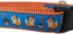 Autumn Dog Collar, Caninedesign, Fall, 1 Inch Wide, Adjustable, Nylon, Medium And Large (Fox, Large 15-22") -Zoo Shop 51Kue3knQ L. AC