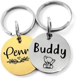 Higgins Sunburst Gourmet Food Mix For Conures -Zoo Shop 51L4y5vFA7L. AC