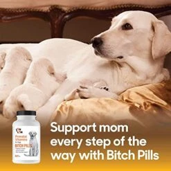 Bitch Pills | Dog Prenatal Vitamins | Prenatal Vitamins For Dogs | Prenatal For Dogs | Thomas Pet Earlier | 120 Tablets -Zoo Shop 51LC2xUxAdL