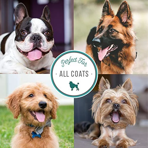 Nature's Specialties Plum Silky Ultra Concentrated Dog Shampoo Conditioner, Makes Up To 24 Gallons, Natural Choice For Professional Pet Groomers, Silk Proteins, Made In USA, 1 Gal 7 Nature's Specialties Plum Silky Ultra Concentrated Dog Shampoo Conditioner, Makes Up To 24 Gallons, Natural Choice For Professional Pet Groomers, Silk Proteins, Made In USA, 1 Gal - Image 5