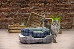 Karlie K Bed Cat Miro Beige/Light Grey 55 X 50 X 20 Cm 200 G -Zoo Shop 51LOFNWaxgL