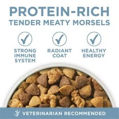 Purina ONE Plus Joint Health Formula Natural With Added Vitamins, Minerals And Nutrients Dry Dog Food - 31.1 Lb. Bag -Zoo Shop 51LTk5biN4L