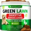 Grass Burn Spot Chews For Dogs - Dog Pee Lawn Spot Saver Caused By Dog Urine - Grass Treatment Rocks - Cranberry + Digestive Enzymes - Dog Urine Neutralizer For Lawn