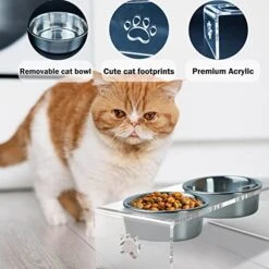 Ghims Raised Cat Bowl, Dog Bowl, Elevated Pet Feeding Station, 15° Tilted Neck Protective Acrylic Stand With Double Stainless Steel Bowl And One Spoon, Raised Food Bowl Set For Small Cat/Dog -Zoo Shop 51LuFSGzZqL