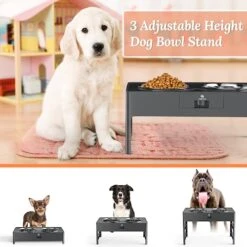 Lapensa Elevated Dog Bowls, Stainless Steel Raised Dog Bowl With Adjustable Stand, Double Dog Food And Water Bowl For Small Medium Large Dogs Grey -Zoo Shop 51LvMAleiIL