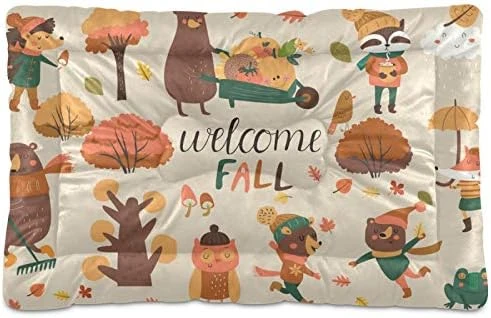 Dog Bed Cartoon Healthy Food Nuts Crate Pad Mat 24''x18'' Washable Pet Bed Cat Beds Soft Dog Mattress- Anti-Slip Kennel Pad Luxury Color 9 Dog Bed Cartoon Healthy Food Nuts Crate Pad Mat 24''x18'' Washable Pet Bed Cat Beds Soft Dog Mattress- Anti-Slip Kennel Pad Luxury Color - Image 7