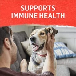 Purina Beyond Chicken, Beef And Cod Ground Entree Grain Free Wet Dog Food Variety Pack - (12) 13 Oz. Cans -Zoo Shop 51M6H7r7p5L