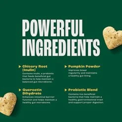 Furtify Probiotics For Dogs | Gut Health Soft Chew Dog Supplements | Pumpkin + Chicory Root + 6 Strain Probiotic Blend | Supports Digestive Function & Bowel Health | Maintains Proper Gut Flora (90 Ct) -Zoo Shop 51MFnQmXRlL
