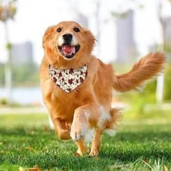 GENERIC Floral Pattern With Of Red Roses Dog Bandana,Dog Bandanas Triangle Bibs Scarf Accessories Minimal Head Cicumference -Zoo Shop 51MOB6uh1VL