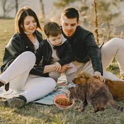 Dog Food Container 1Pc Adorable Cat Feeding Bowl Versatile Ceramic Pet Feeder Bowl With Rack Cat Food Dispenser 16 Dog Food Container 1Pc Adorable Cat Feeding Bowl Versatile Ceramic Pet Feeder Bowl With Rack Cat Food Dispenser -Zoo Shop 51MP7ZIn7FL