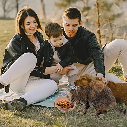 Dog Food Container 1Pc Adorable Cat Feeding Bowl Versatile Ceramic Pet Feeder Bowl With Rack Cat Food Dispenser 9 Dog Food Container 1Pc Adorable Cat Feeding Bowl Versatile Ceramic Pet Feeder Bowl With Rack Cat Food Dispenser - Image 7