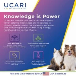 UCARI Pet Sensitivity & Intolerance Test Kit For Dogs & Cats | 1000+ Environmental & Pet Food Intolerance Screening | | 4 Tests In 1 | Non-Invasive Bioresonance Home Health Testing Kits, Fast Results -Zoo Shop 51MT1RwYi9L