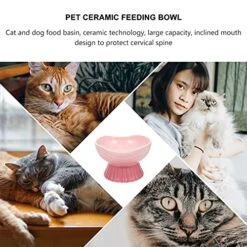 POPETPOP Food Containers Food Containers Plates Ceramic Raised Cat Food Ceramic Tilted Pet Feeder Waterer Porcelain Pet Dish With Stand For Cats Dogs Feeding Dog Food Container Dog Food Container -Zoo Shop 51Mgnc7R3bL
