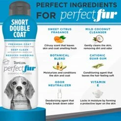 TropiClean Perfect Fur Dog Shampoo For Shedding Control For All Breeds With A Short Double Coat, 16 Ounce -Zoo Shop 51MjcMMIF6L