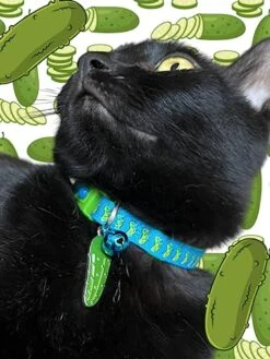 Pickle Cat Collar With Bell | Safety Breakaway Collar | Adjustable Large Size Or Kitten Collar (Small(10lbs & Less), Blue) -Zoo Shop 51MwPlO8S5L