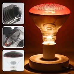 Hypool Heat Lamp Red Infrared Light Bulbs PAR38 250 Watts Fits E26 E27 Base 250W As Chickens Brooder Heat Light For Multi-Application Scenario(250W) 10 Hypool Heat Lamp Red Infrared Light Bulbs PAR38 250 Watts Fits E26 E27 Base 250W As Chickens Brooder Heat Light For Multi-Application Scenario(250W) -Zoo Shop 51N70xgDoRL