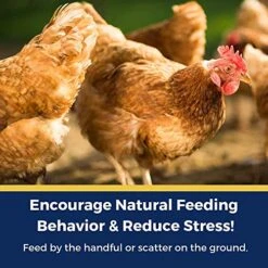 Pampered Chicken Mama Backyard Chicken Nesting Herbs For Great Eggs 10 Oz - All-Natural Backyard Chicken Feed Supplies - Hen Treats For The Best Eggs Ever - High Calcium Supplement For Chickens -Zoo Shop 51NlPCk58fL