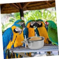 POPETPOP 1 Set Parrot Food Box Bird Feeder Food Chew Toys Food Toy Bird Food Dishes Chew Toys For Dogs Food Water Holder Parrot Eating Bowl Parrot Feeder Parrot Supply Tail Animal Cage -Zoo Shop 51NpJbQSd6L