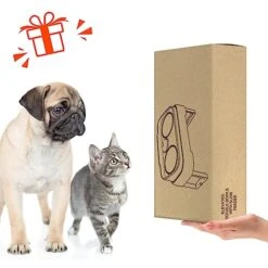 Supet Elevated Small Dog Bowl & Slow Feeder Bowl For Puppy Or Cat, 3-in-1 Adjustable & Removable Food And Water Bowls With Stand & 2 Stainless Steel Dog Food Bowls Set, Whisker Friendly Dish -Zoo Shop 51Nr8X6rQ9L