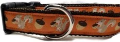 Autumn Dog Collar, Caninedesign, Fall, 1 Inch Wide, Adjustable, Nylon, Medium And Large (Fox, Large 15-22") -Zoo Shop 51O3zljwG6L. AC