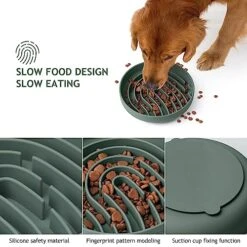 Coomazy Silicone Slow Feeder Dog Bowl(2.5 Cup), Pet Slow Food Bowls For Small Medium Large Breed, Slow Down Pet Eating Speed For Prevent Choking Promote Digestion, Green -Zoo Shop 51O7rPGXqeL