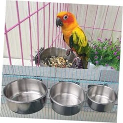 3pcs Water Bowl For Dog Crate Stainless Steel Drinking Glasses Parrot Cage Bowls Bird Water Basins Birds Cage Water Feeder Parrot Supplies Bird Water Holder Parrot Hanging Cup Food -Zoo Shop 51OBUmAqa9L