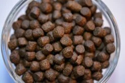 AQUATICBLENDEDFOODS ABF Large Floating PELLETS 7.5 With Krill & SPIRULINA For Koi,Oscar,Pond Fish,Cichlids,ABF15 (16oz - 1 LB.) Heat Sealed - 24HR Ship