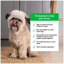 Open Farm Ancient Grains Dry Dog Food, Humanely Raised Meat Recipe With Wholesome Grains And No Artificial Flavors Or Preservatives (Small Breed, 4 Pound (Pack Of 1)) -Zoo Shop 51OILhhEkoL