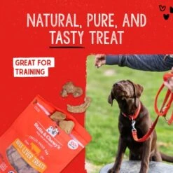 Stella & Chewy's Freeze-Dried Raw Single Ingredient Beef Liver Treats, 3 Oz. Bag -Zoo Shop 51OISwZqyeL