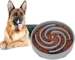 Large Slow Feeder Dog Bowl,Maze Interactive Dog Food Bowl,Anti Gulping Healthy Eating,Stop Bloat Pet Slow Down Feeding Dishes For Medium/Big Dogs(A-Blue) 22 Large Slow Feeder Dog Bowl,Maze Interactive Dog Food Bowl,Anti Gulping Healthy Eating,Stop Bloat Pet Slow Down Feeding Dishes For Medium/Big Dogs(A-Blue) -Zoo Shop 51OYKKK7mDL. AC
