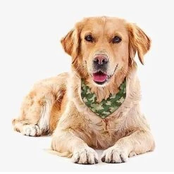 GENERIC Armys Camouflage Pattern Dog Bandana,Dog Bandanas Triangle Bibs Scarf Accessories Minimal Head Cicumference -Zoo Shop 51Oc86JJbCL