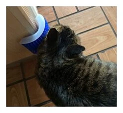 YangYan Pet Cat Self Groomer For Cat Grooming Tool Hair Removal Comb Dogs Cat Brush Hair Shedding Trimming Massage Device With Catnip (Color : Lake Blue, Size : 9x13cm) -Zoo Shop 51OdqpOpUyL